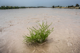 حال عمومی مصدومان حادثه دز خوب است